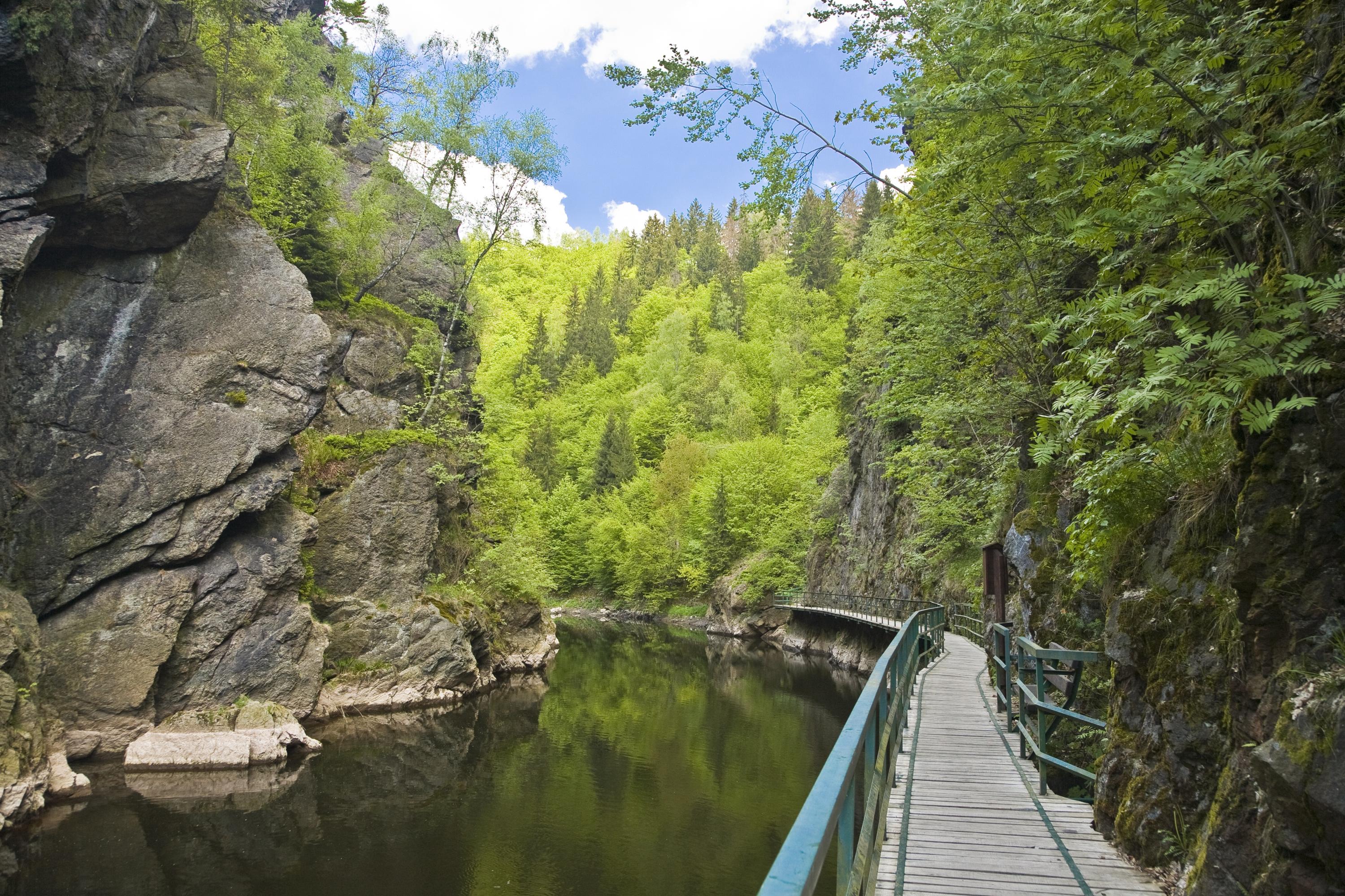 Rieger-Steig