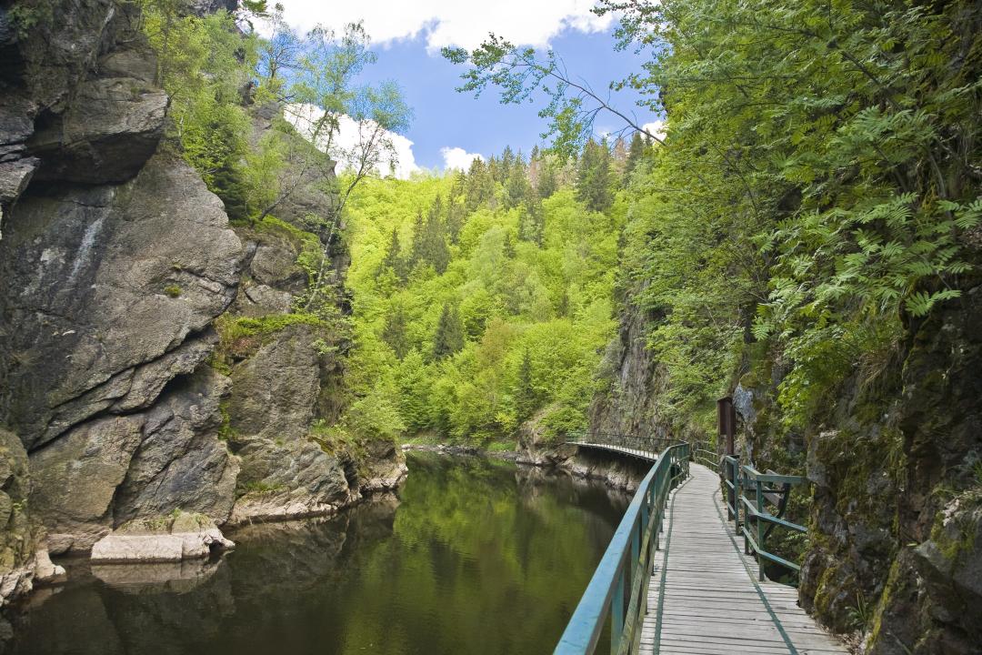 Rieger-Steig