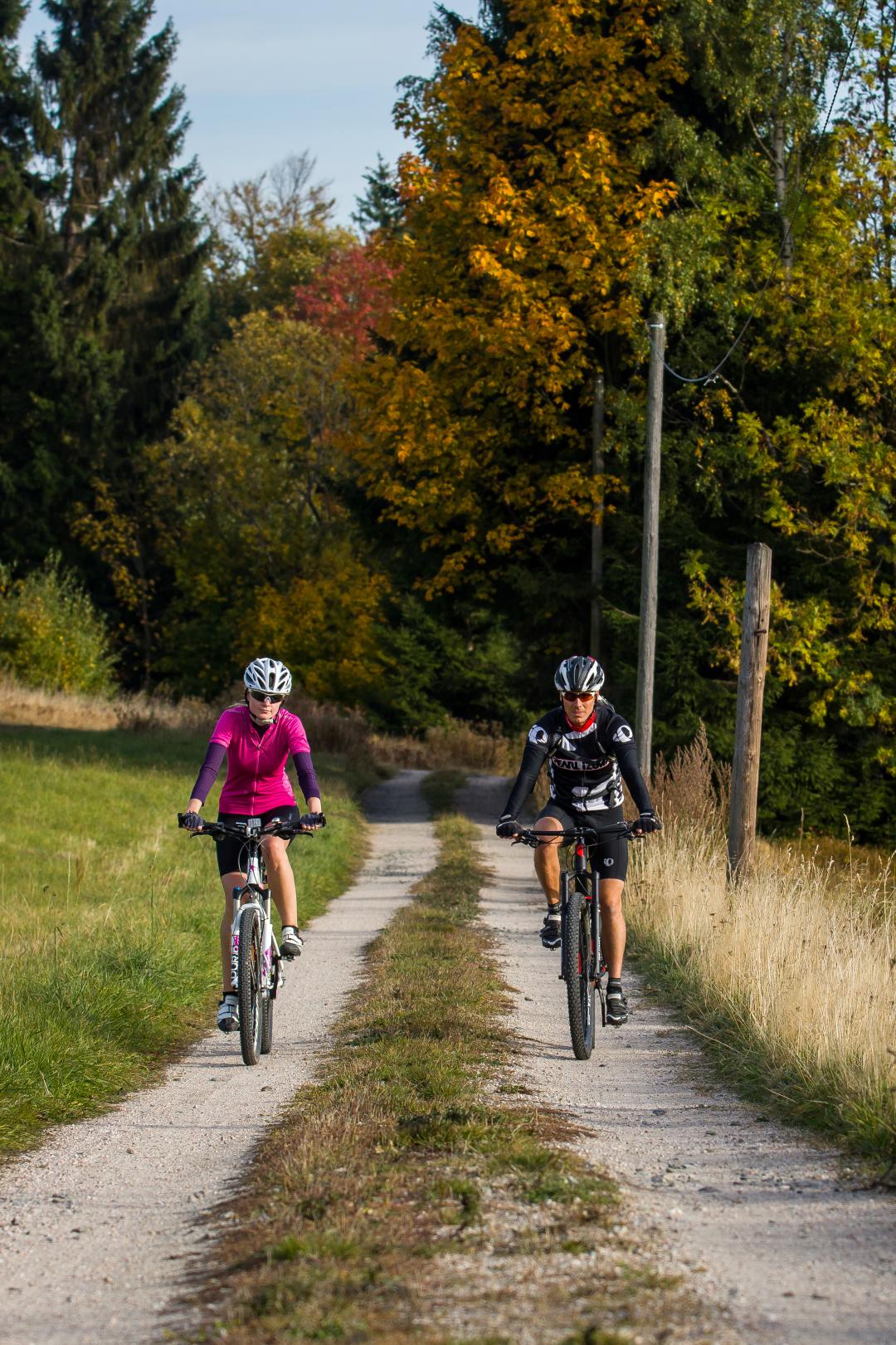 5 jednodenních cyklovýletů
